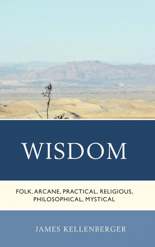Cover of the book Wisdom by James Kellenberger, Lexington Books