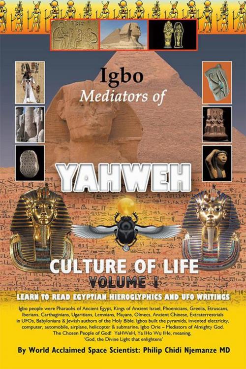 Cover of the book Igbo Mediators of Yahweh Culture of Life by Philip Chidi Njemanze, Xlibris UK