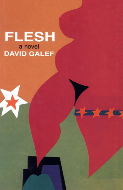 Cover of the book Flesh by David Galef, The Permanent Press (ORD)