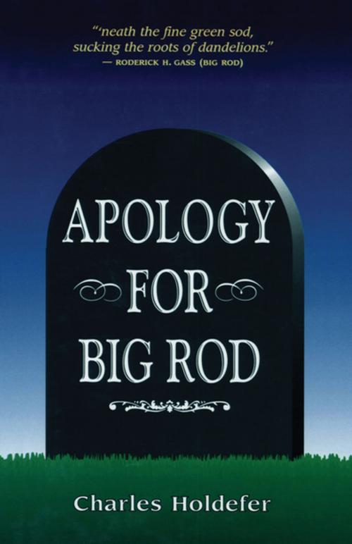 Cover of the book Apology for Big Rod by Charles Holdefer, The Permanent Press (ORD)