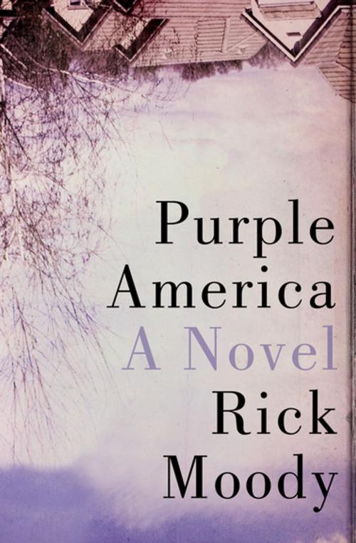 Cover of the book Purple America by Rick Moody, Open Road Media