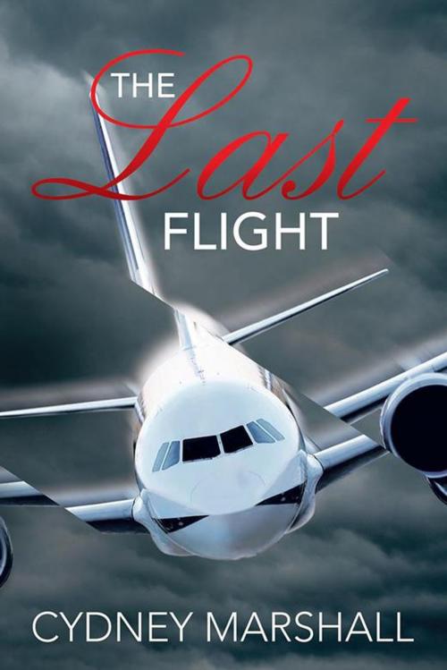 Cover of the book The Last Flight by Cydney Marshall, Balboa Press