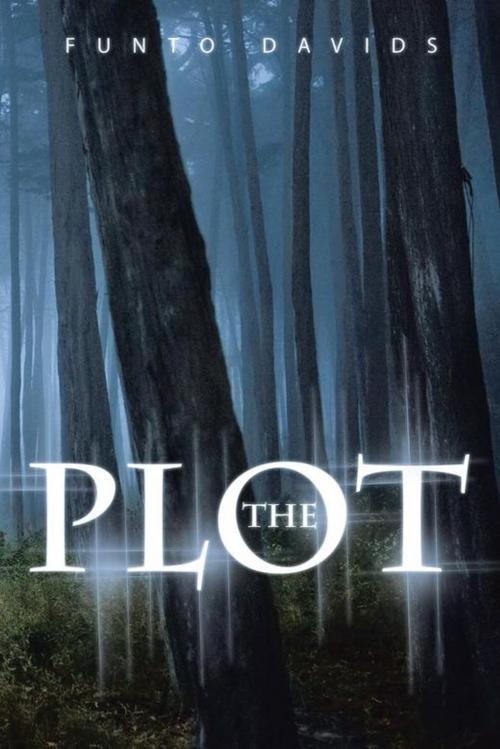 Cover of the book The Plot by Funto Davids, AuthorHouse UK
