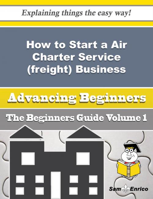 Cover of the book How to Start a Air Charter Service (freight) Business (Beginners Guide) by Marquetta Bobo, SamEnrico