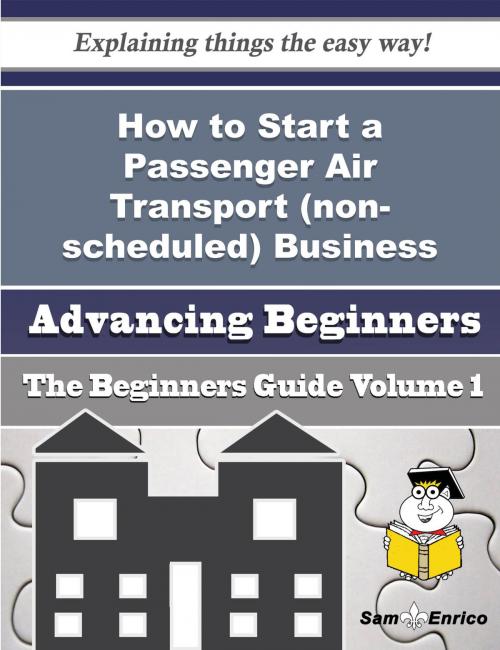 Cover of the book How to Start a Passenger Air Transport (non-scheduled) Business (Beginners Guide) by Drema Booth, SamEnrico
