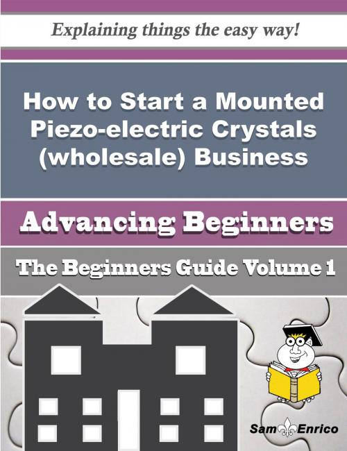 Cover of the book How to Start a Mounted Piezo-electric Crystals (wholesale) Business (Beginners Guide) by Jaqueline Will, SamEnrico