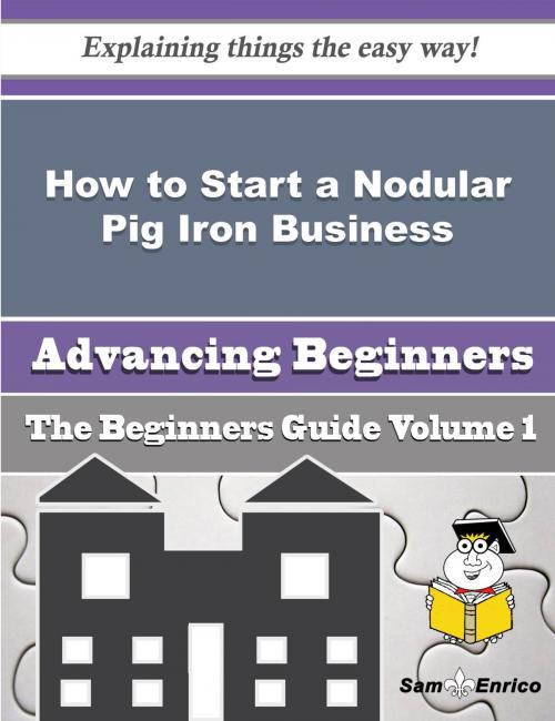 Cover of the book How to Start a Nodular Pig Iron Business (Beginners Guide) by Albertina Poirier, SamEnrico