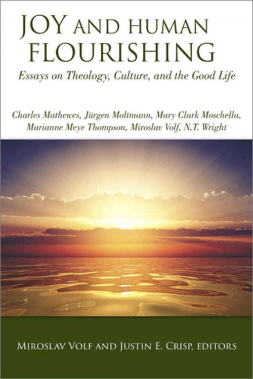 Cover of the book Joy and Human Flourishing by , Fortress Press