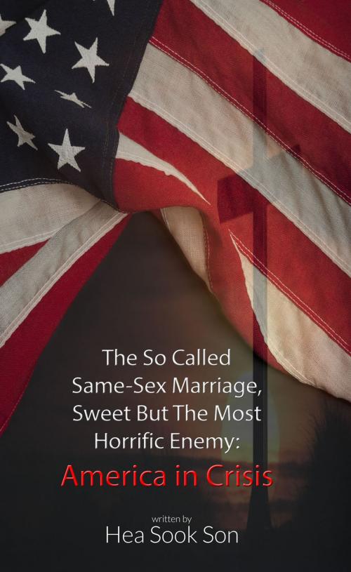 Cover of the book The So Called Same-Sex Marriage, Sweet but the Most Horrific Enemy by Hea Sook Son, First Edition Design Publishing