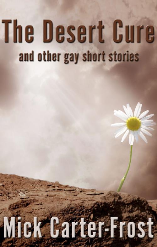 Cover of the book The Desert Cure and other gay short stories by Mick Carter-Frost, First Edition Design Publishing