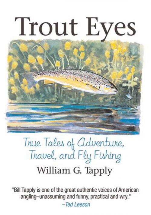 Cover of the book Trout Eyes by William G. Tapply, Skyhorse