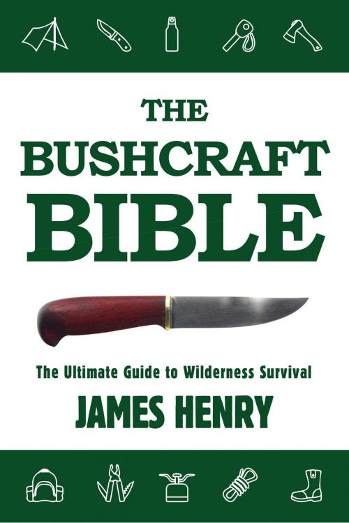 Cover of the book The Bushcraft Bible by James Henry, Skyhorse