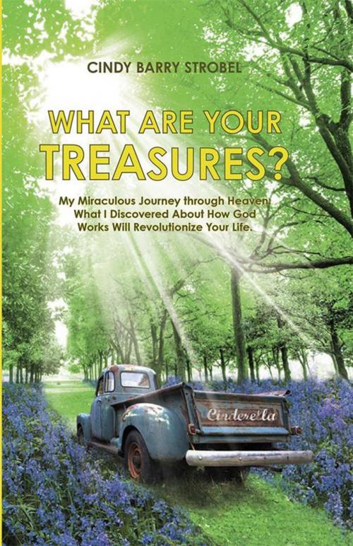 Cover of the book What Are Your Treasures? by Cindy Barry Strobel, WestBow Press