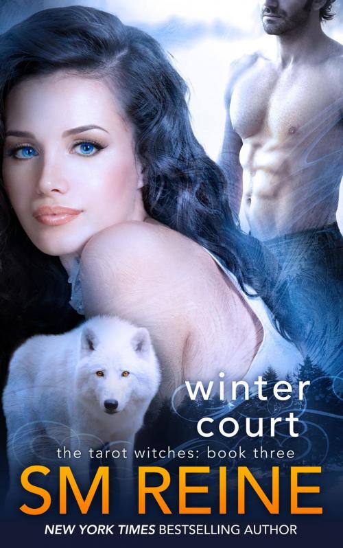 Cover of the book Winter Court by SM Reine, Red Iris Books