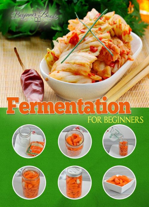 Cover of the book Fermentation for Beginners by Helen Jade, Helen Jade