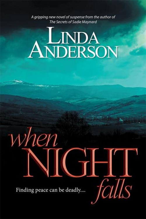 Cover of the book When Night Falls by Linda Anderson, Xlibris US
