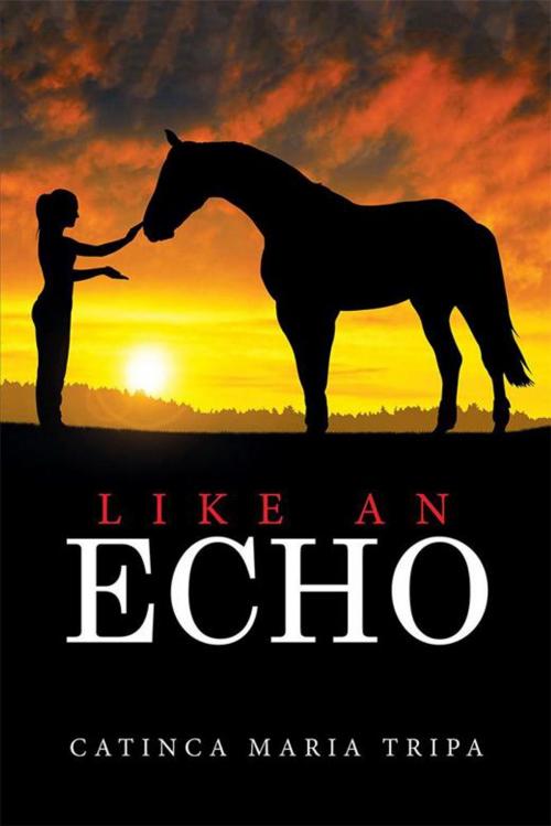 Cover of the book Like an Echo by Catinca Maria Tripa, Xlibris US
