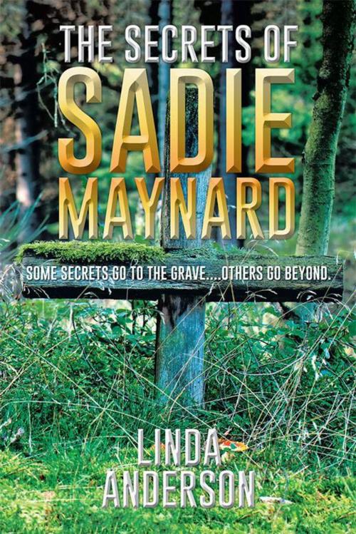 Cover of the book The Secrets of Sadie Maynard by Linda Anderson, Xlibris US