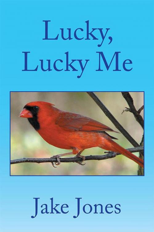 Cover of the book Lucky, Lucky Me by Jake Jones, Xlibris US