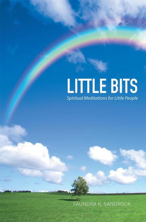 Cover of the book Little Bits by Saundra K. Sandrock, Xlibris US