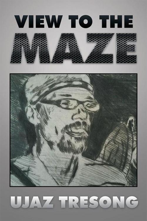 Cover of the book View to the Maze by Ujaz Tresong, Xlibris AU