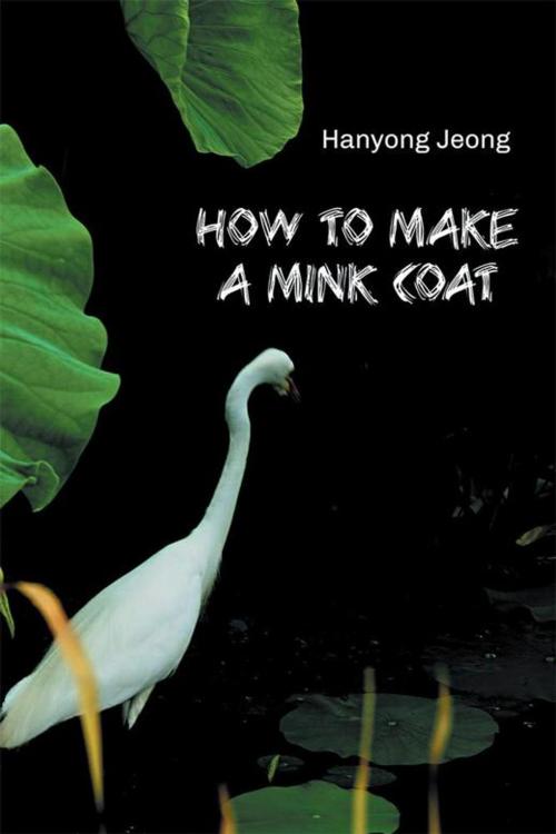 Cover of the book How to Make a Mink Coat by Hanyong Jeong, Xlibris AU