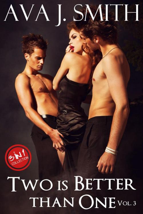 Cover of the book Two is Better than One Vol. 3: 3 in 1 Collection by Ava J. Smith, Dark December LCC