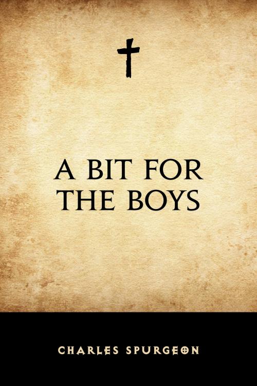 Cover of the book A Bit for the Boys by Charles Spurgeon, Krill Press