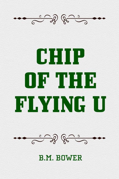 Cover of the book Chip of the Flying U by B.M. Bower, Krill Press