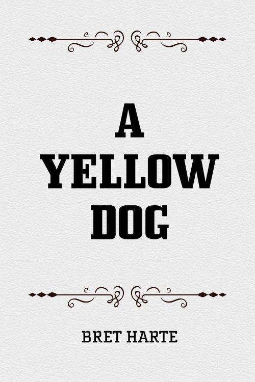 Cover of the book A Yellow Dog by Bret Harte, Krill Press