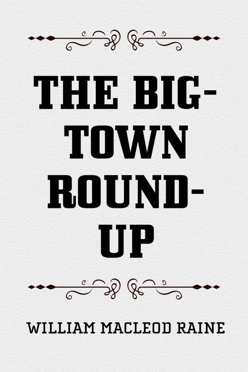 Cover of the book The Big-Town Round-Up by William MacLeod Raine, Krill Press