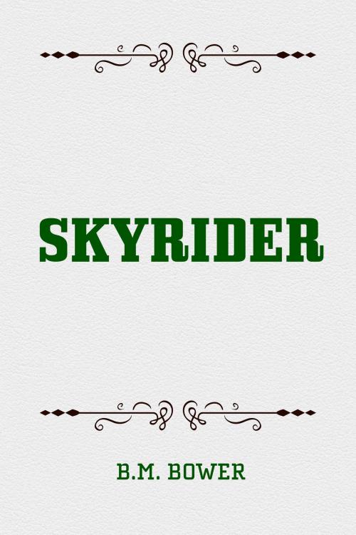Cover of the book Skyrider by B.M. Bower, Krill Press