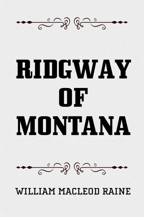 Cover of the book Ridgway of Montana by William MacLeod Raine, Krill Press