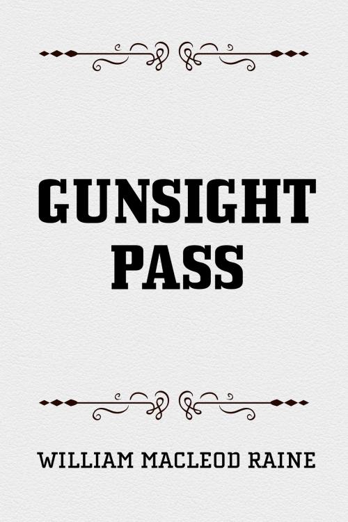 Cover of the book Gunsight Pass by William MacLeod Raine, Krill Press
