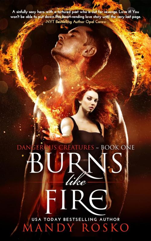 Cover of the book Burns Like Fire by Mandy Rosko, Mandy Rosko