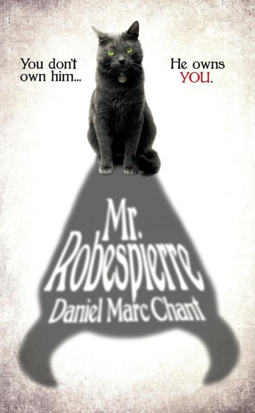 Cover of the book Mr. Robespierre by Daniel Marc Chant, Daniel Marc Chant