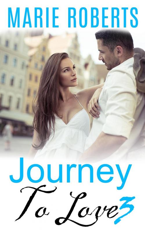 Cover of the book Journey To Love: 3 by Marie Roberts, Marie Roberts