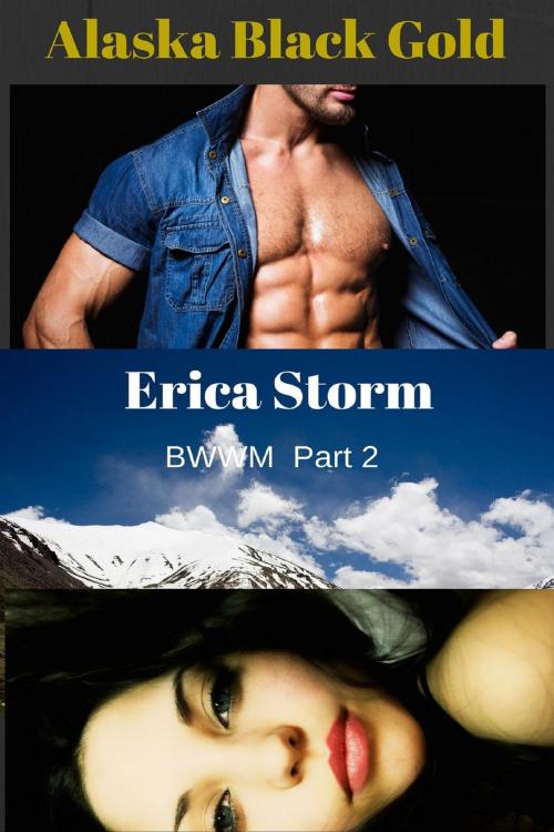 Cover of the book Alaska Black Gold by Erica Storm, Erica Storm