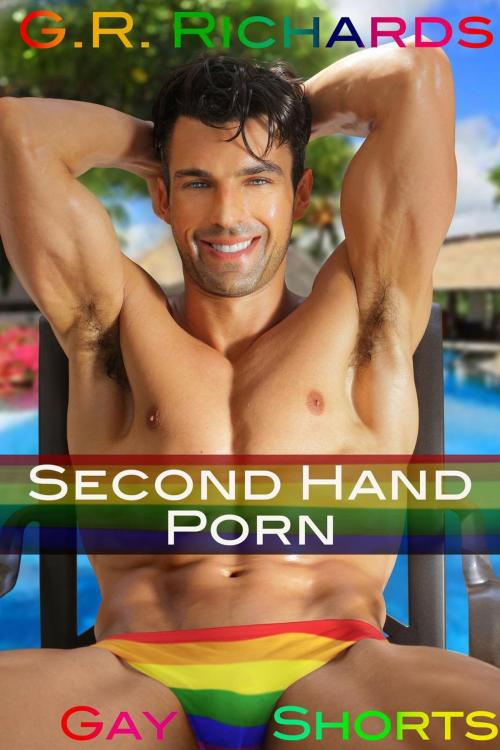 Cover of the book Second Hand Porn by G.R. Richards, Great Gay Fiction