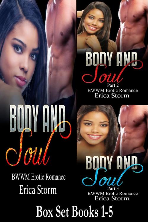 Cover of the book Body and Soul Box Set by Erica Storm, Erica Storm