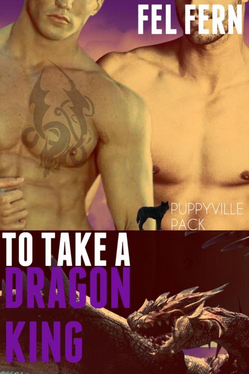 Cover of the book To Take a Dragon King by Fel Fern, Fel Fern