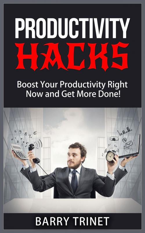 Cover of the book Productivity Hacks - Boost Your Productivity Right Now and Get More Done! by Barry Trinet, Shaharm Publications