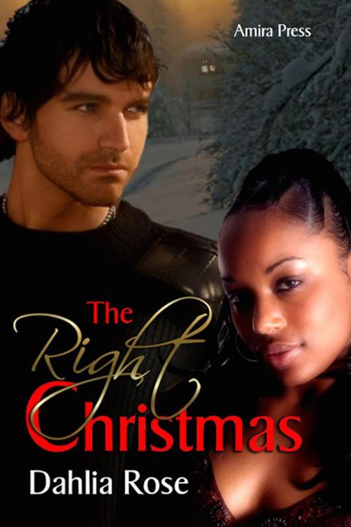 Cover of the book The Right Christmas by Dahlia Rose, Dahlia Rose Unscripted