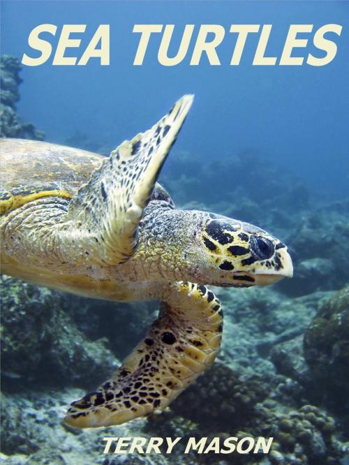 Cover of the book Sea Turtles by Terry Mason, Terry Mason