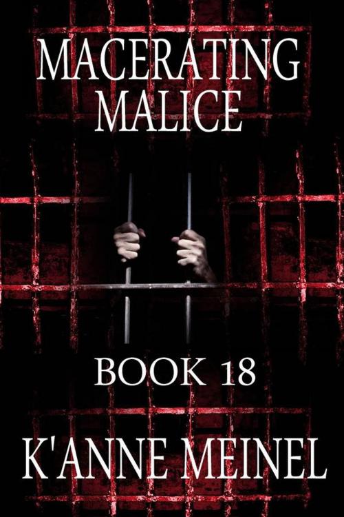 Cover of the book Macerating Malice by K'Anne Meinel, Shadoe Publishing