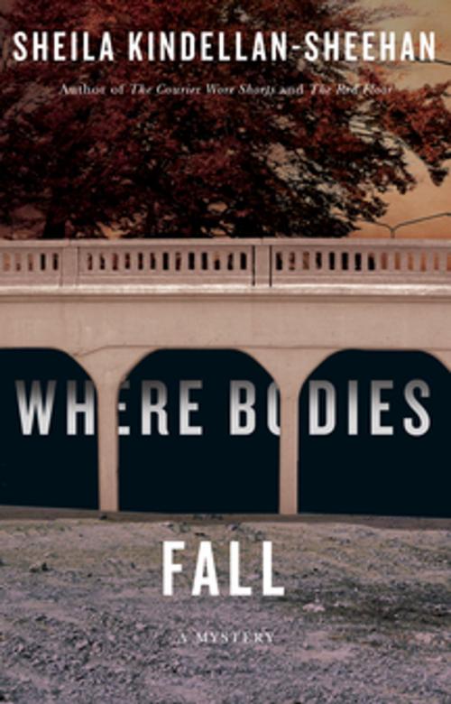Cover of the book Where Bodies Fall by Sheila Kindellan-Sheehan, Véhicule Press