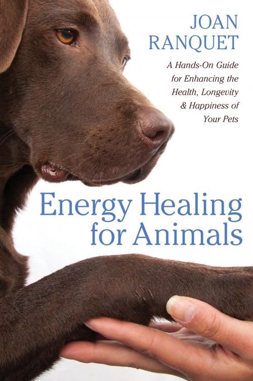 Cover of the book Energy Healing for Animals by Joan Ranquet, Sounds True