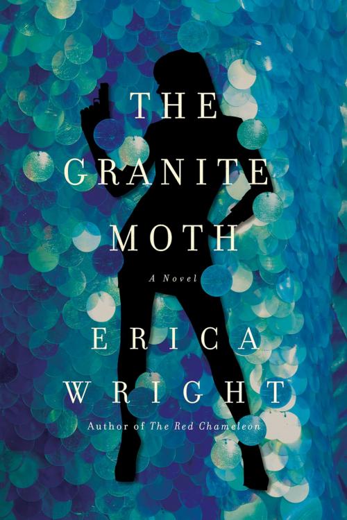 Cover of the book The Granite Moth: A Novel by Erica Wright, Pegasus Books