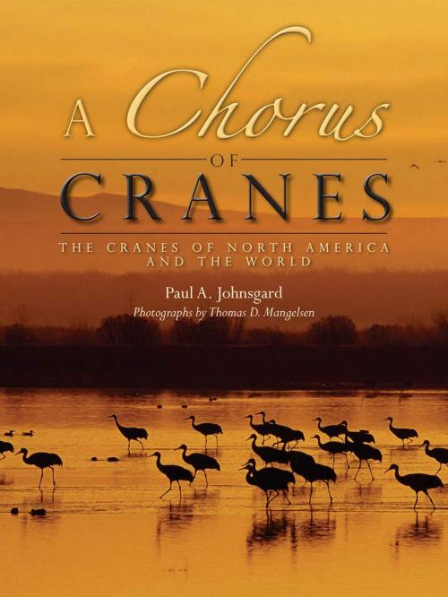 Cover of the book A Chorus of Cranes by Paul A. Johnsgard, University Press of Colorado