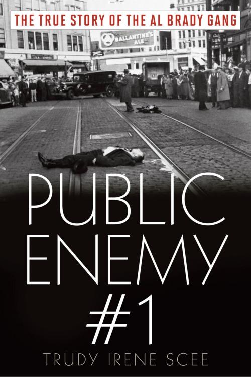 Cover of the book Public Enemy Number One by Trudy Irene Scee, Down East Books